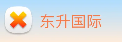 东升国际 logo